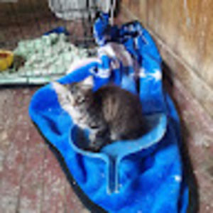 Meet your Posher, Tabitha